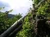 lands08.jpg