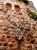 lands12.jpg