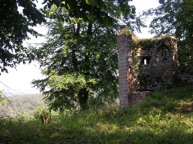 ochsen07