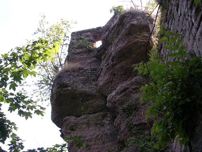 ochsen14