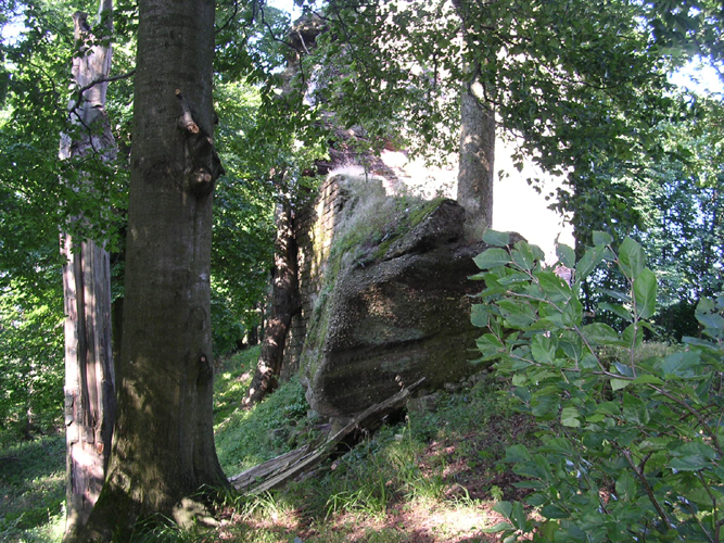 ochsen30