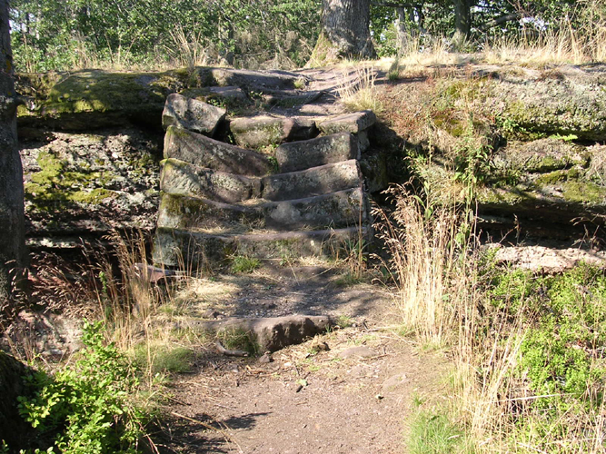 ochsen32
