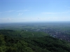 st_ulrich14